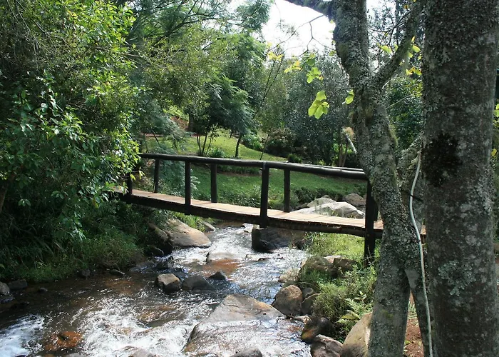 Sabie Star